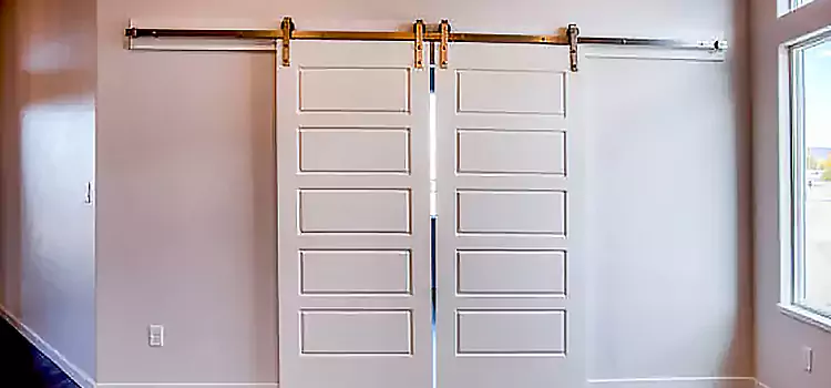 Glass Barn Door with Installation Hardware Kit Greenbelt
